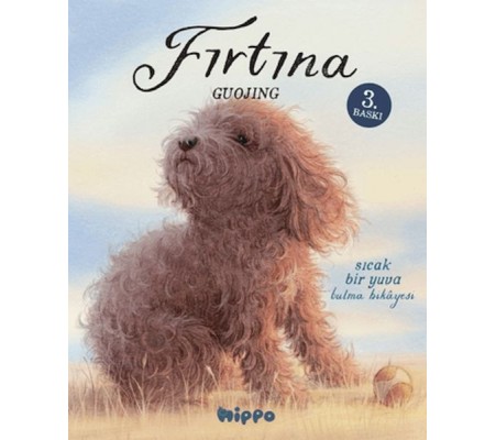 Fırtına Fırtına