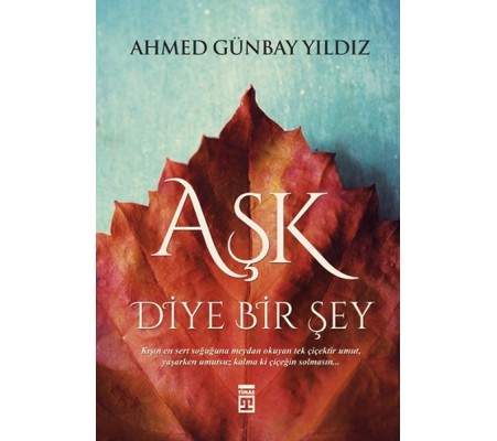 Aşk Diye Bir Şey Aşk Diye Bir Şey