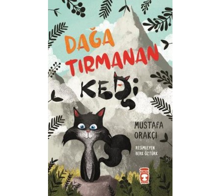 Dağa Tırmanan Kedi Dağa Tırmanan Kedi