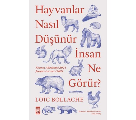 Hayvanlar Nasıl Düşünür İnsanlar Ne Görür? Hayvanlar Nasıl Düşünür İnsanlar Ne Görür?