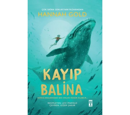 Kayıp Balina Kayıp Balina