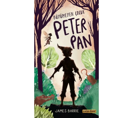 Büyümeyen Çocuk Peter Pan