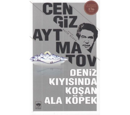 Deniz Kıyısında Koşan Ala Köpek Deniz Kıyısında Koşan Ala Köpek