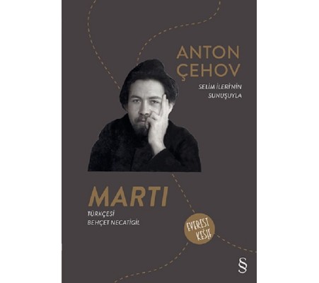 Martı Martı