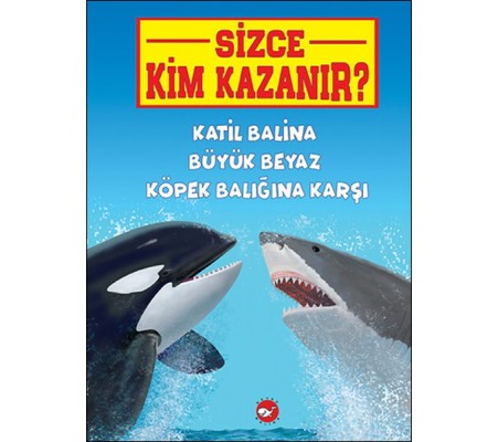Sizce Kim Kazanır? Katil Balina Büyük Beyaz Köpek Balığına Karşı Sizce Kim Kazanır? Katil Balina Büyük Beyaz Köpek Balığına Karşı