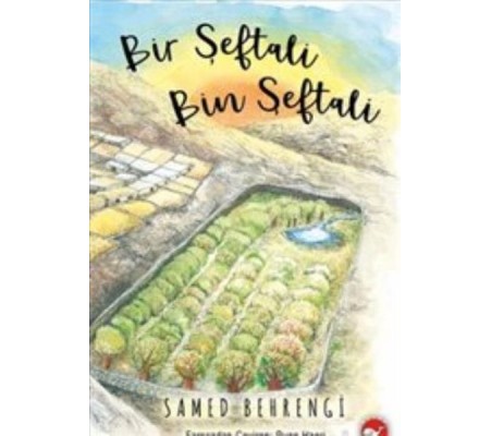 Bir Şeftali Bin Şeftali (Ciltli) Bir Şeftali Bin Şeftali (Ciltli)