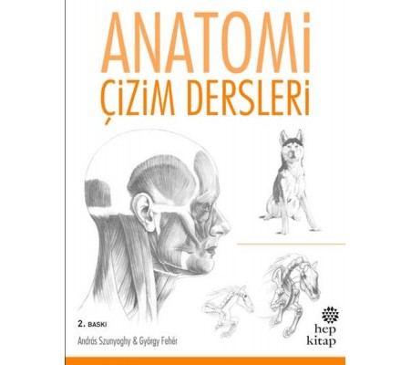 Anatomi Çizim Dersleri Anatomi Çizim Dersleri