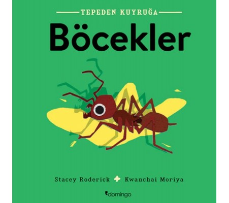 Tepeden Kuyruğa - Böcekler Tepeden Kuyruğa - Böcekler