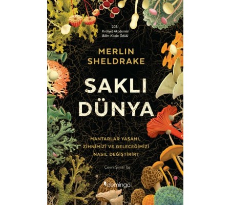 Saklı Dünya Saklı Dünya
