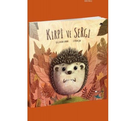 Kirpi ve Sergi Kirpi ve Sergi