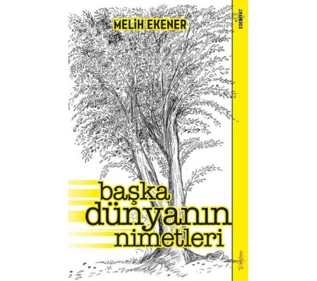 Başka Dünyanın Nimetleri