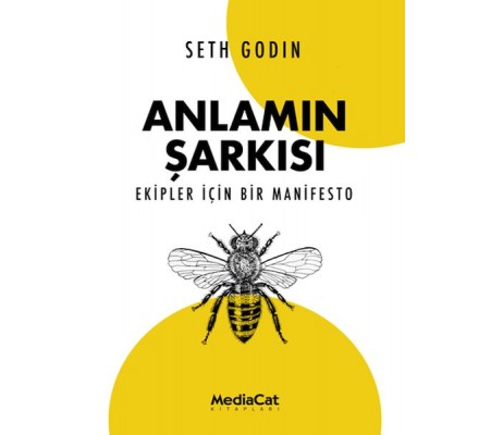 Anlamın Şarkısı