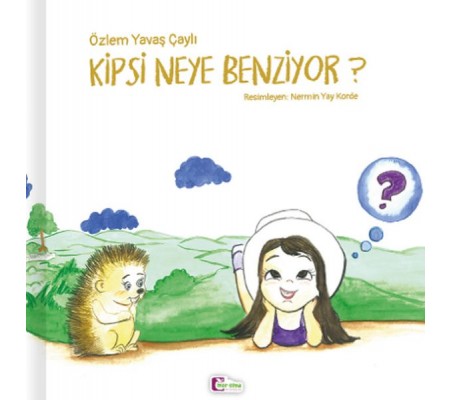 Kipsi Neye Benziyor?