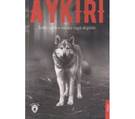 Aykırı Aykırı