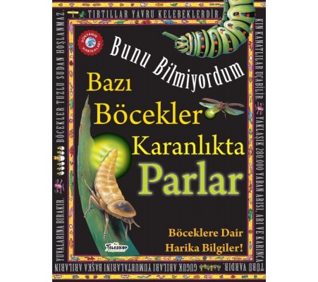 Bazı Böcekler Karanlıkta Parlar - Bunu Bilmiyordum - Böceklere Dair Harika Bilgiler!