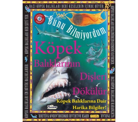 Köpek Balıklarının Dişleri Dökülür - Bunu Bilmiyordum - Köpek Balıklarına Dair Harika Bilgiler!