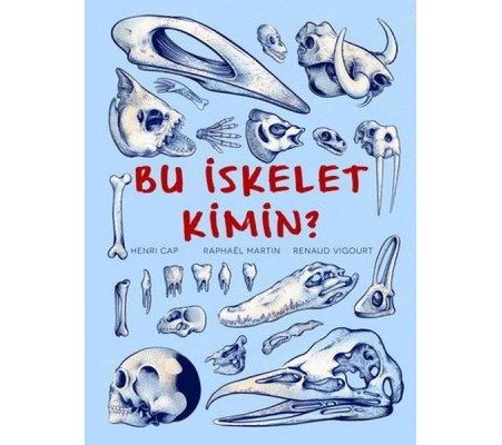 Bu İskelet Kimin? Bu İskelet Kimin?