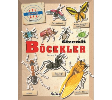 Gizemleri Öğrenelim - Gizemli Böcekler Gizemleri Öğrenelim - Gizemli Böcekler