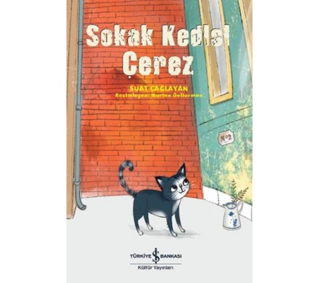 Sokak Kedisi Çerez Sokak Kedisi Çerez