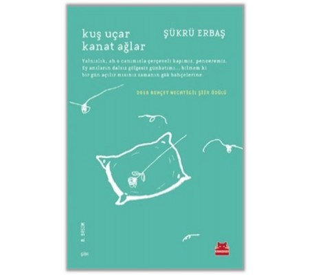 Kuş Uçar Kanat Ağlar Kuş Uçar Kanat Ağlar