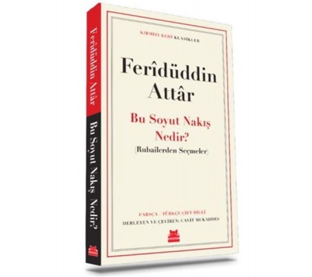 Bu Soyut Nakış Nedir? Bu Soyut Nakış Nedir?