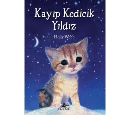 Kayıp Kedicik Yıldız Kayıp Kedicik Yıldız