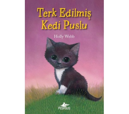 Terk Edilmiş Kedi Puslu Terk Edilmiş Kedi Puslu