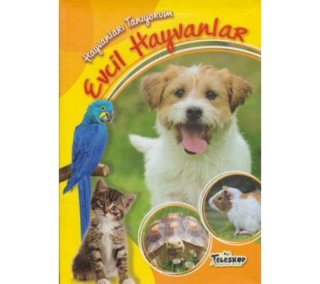 Hayvanları Tanıyorum Evcil Hayvanlar Hayvanları Tanıyorum Evcil Hayvanlar