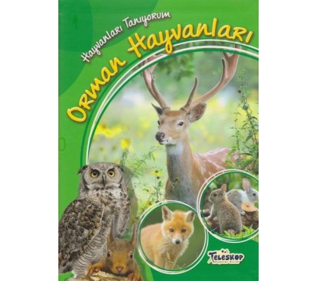 Hayvanları Tanıyorum Orman Hayvanları Hayvanları Tanıyorum Orman Hayvanları