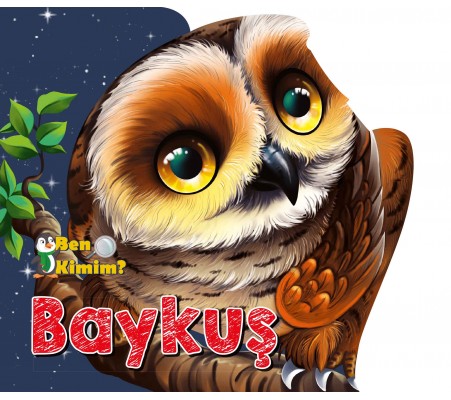 Ben Kimim? - Baykuş
