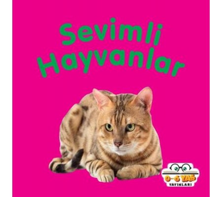 Sevimli Hayvanlar - Mini Karton Kitaplar