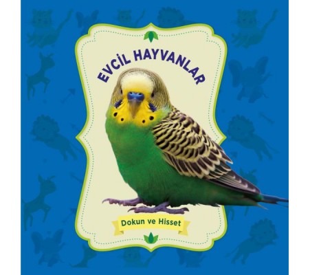 Evcil Hayvanlar - Dokun ve Hisset Evcil Hayvanlar - Dokun ve Hisset