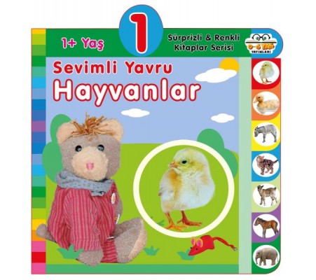 Yaş Sevimli Yavru Hayvanlar (1+Yaş)