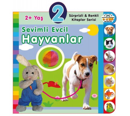 Yaş Sevimli Evcil Hayvanlar (2+Yaş) Yaş Sevimli Evcil Hayvanlar (2+Yaş)