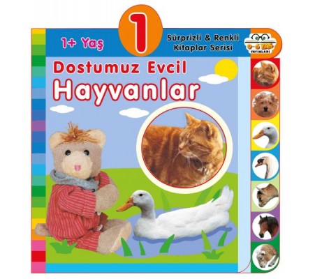 Dostumuz Evcil Hayvanlar (1+Yaş) Dostumuz Evcil Hayvanlar (1+Yaş)