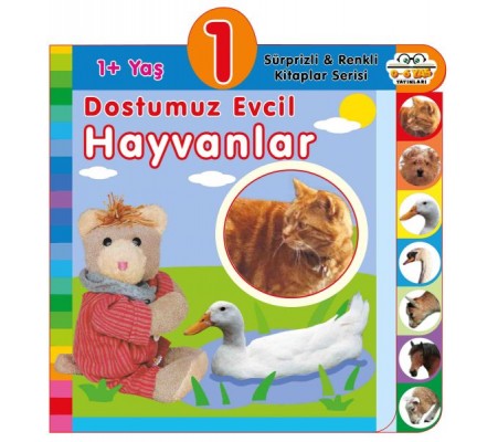 Dostumuz Evcil Hayvanlar (1+Yaş)