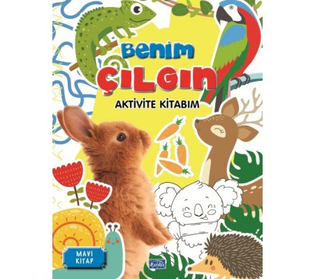 Benim Çılgın Aktivite Kitabım Mavi Kitap Benim Çılgın Aktivite Kitabım Mavi Kitap