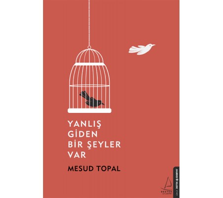Yanlış Giden Bir Şeyler Var Yanlış Giden Bir Şeyler Var