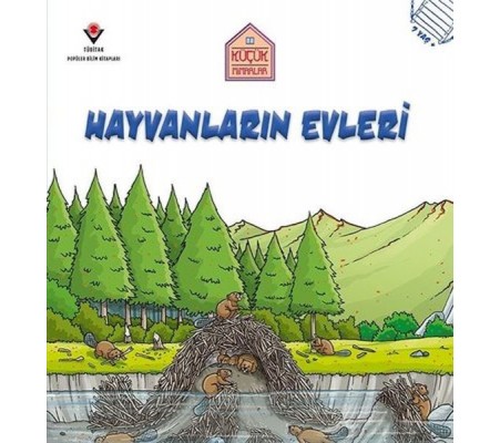 Hayvanların Evleri - Küçük Mimarlar Hayvanların Evleri - Küçük Mimarlar