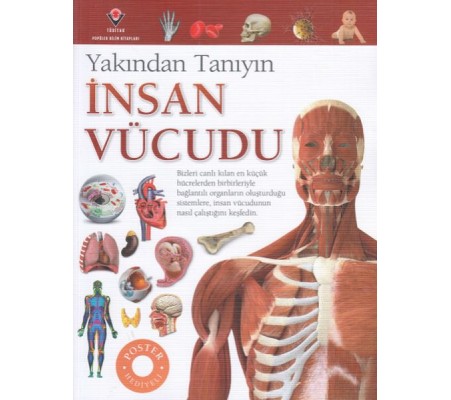 İnsan Vücudu - Yakından Tanıyın İnsan Vücudu - Yakından Tanıyın
