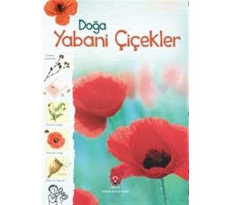 Doğa-Yabani Çiçekler Doğa-Yabani Çiçekler