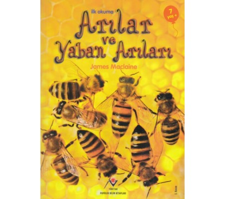 İlk Okuma - Arılar ve Yaban Arıları İlk Okuma - Arılar ve Yaban Arıları