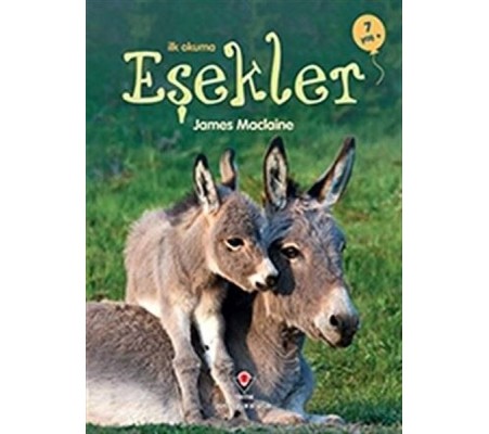 İlk Okuma - Eşekler İlk Okuma - Eşekler