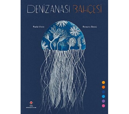 Denizanası Bahçesi Denizanası Bahçesi