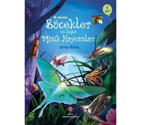 İlk Okuma - Böcekler ve Diğer Minik Hayvanlar İlk Okuma - Böcekler ve Diğer Minik Hayvanlar
