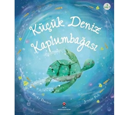 Küçük Deniz Kaplumbağası Küçük Deniz Kaplumbağası
