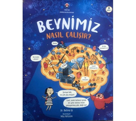 Beynimiz Nasıl Çalışır?