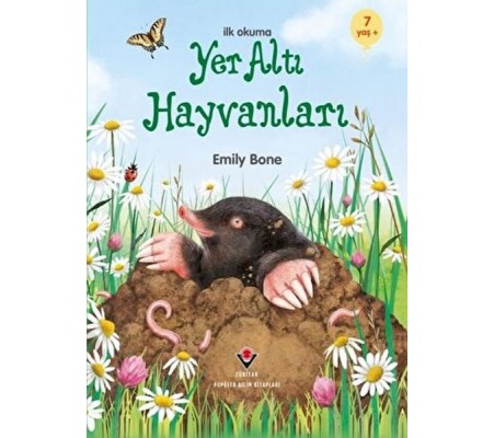 İlk Okuma - Yer Altı Hayvanları İlk Okuma - Yer Altı Hayvanları