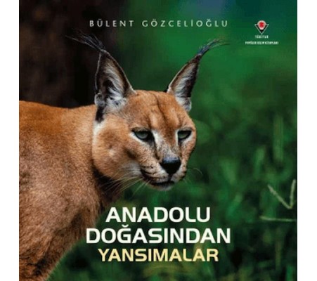 Anadolu Doğasından Yansımalar Anadolu Doğasından Yansımalar