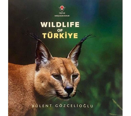 Wıldlıfe Of Türkiye